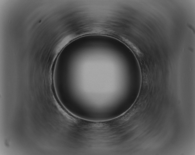 X0000093451479200710121343