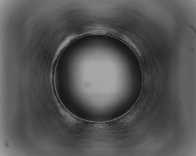 X0000093451480200710121343