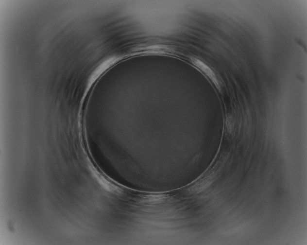 X0000093451482200710121343
