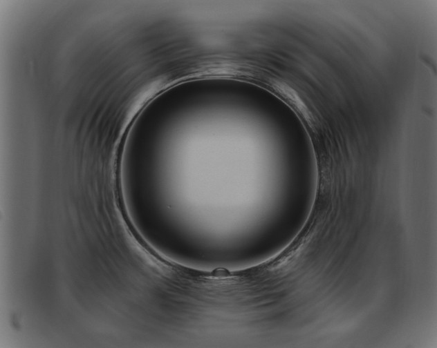 X0000093451483200710121343