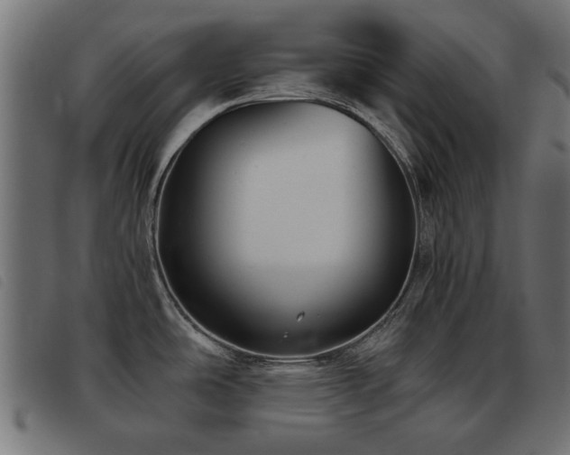X0000093451486200710121343