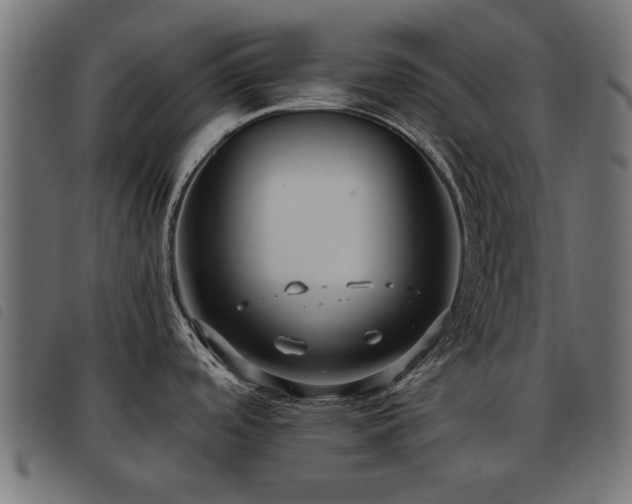 X0000093451488200710121343