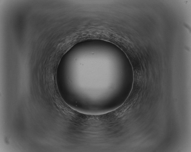 X0000093451489200710121343