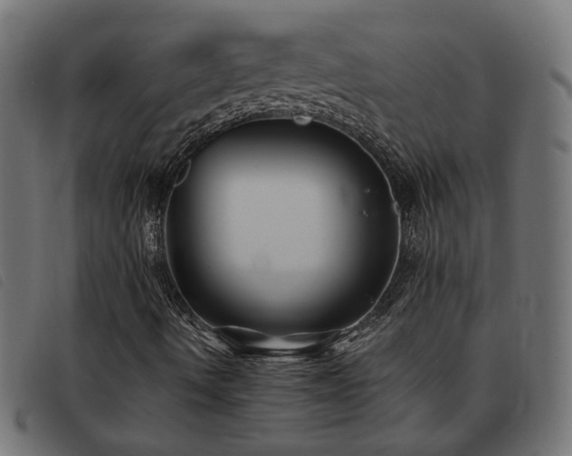 X0000093451490200710121343