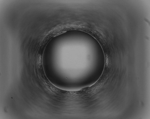 X0000093451492200710121343