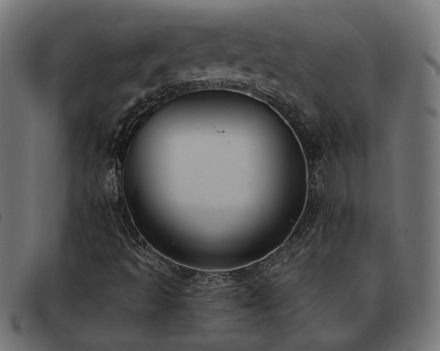 X0000093451493200710121343
