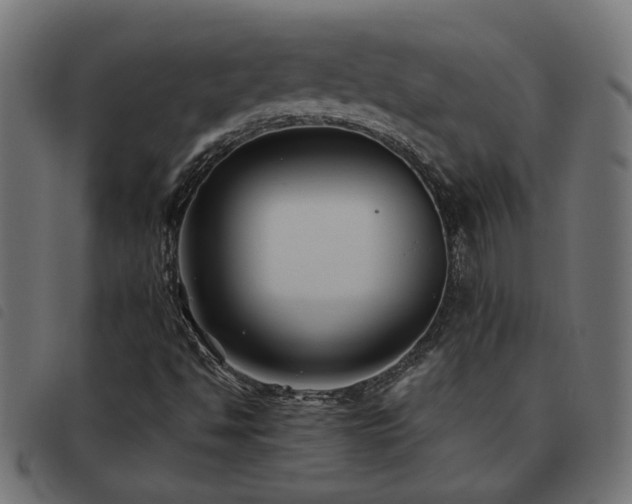 X0000093451494200710121343