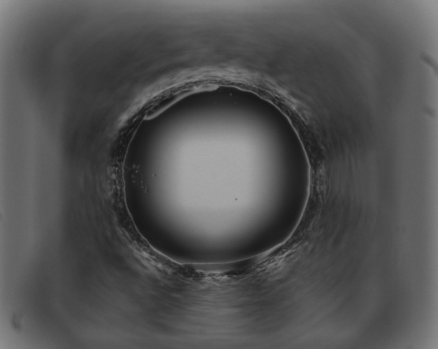 X0000093451496200710121343