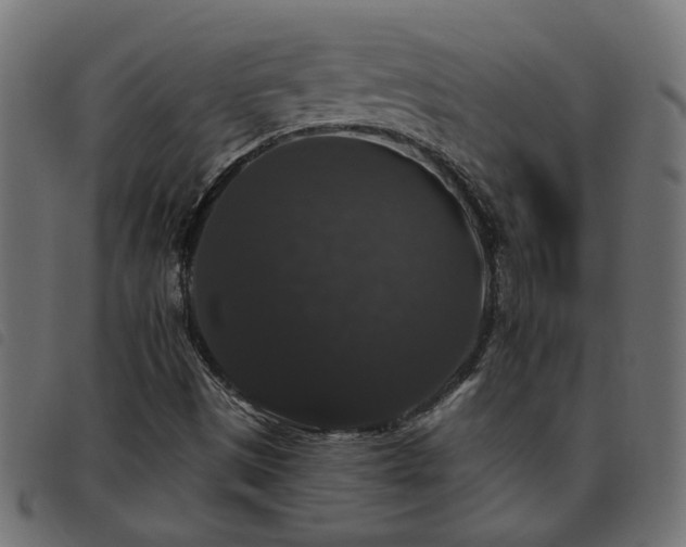 X0000093451497200710121343