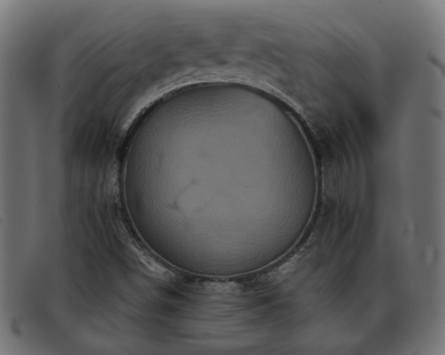 X0000093451498200710121343