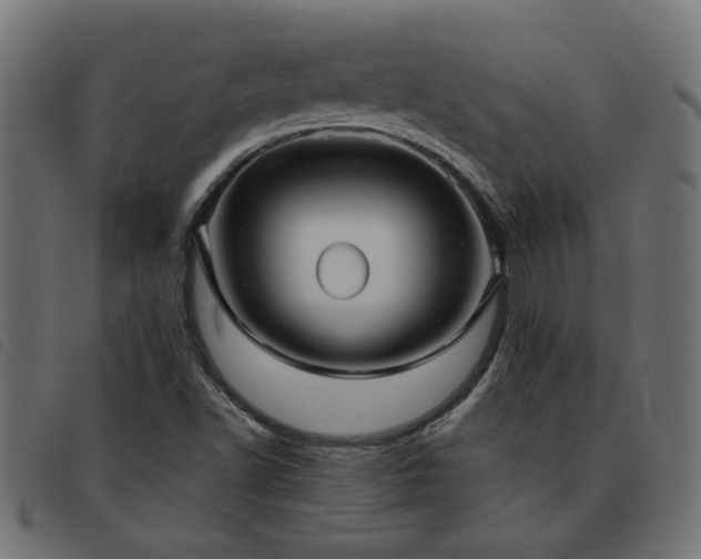 X0000093451502200710121343