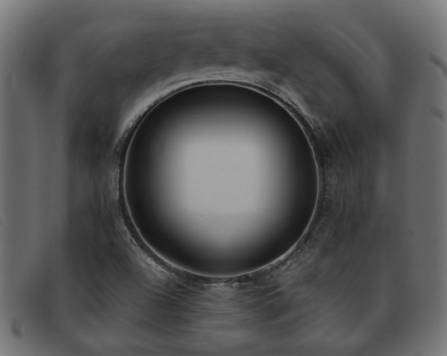 X0000093451504200710121343