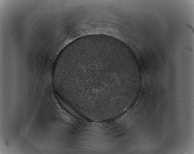 X0000093451505200710121343