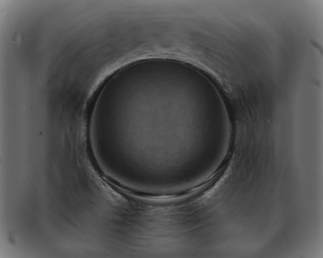 X0000093451506200710121343