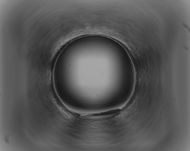 X0000093451507200710121343