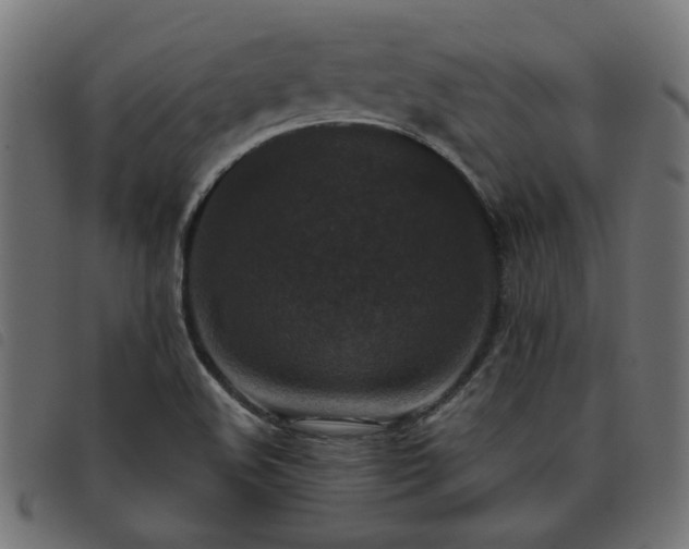 X0000093451508200710121343