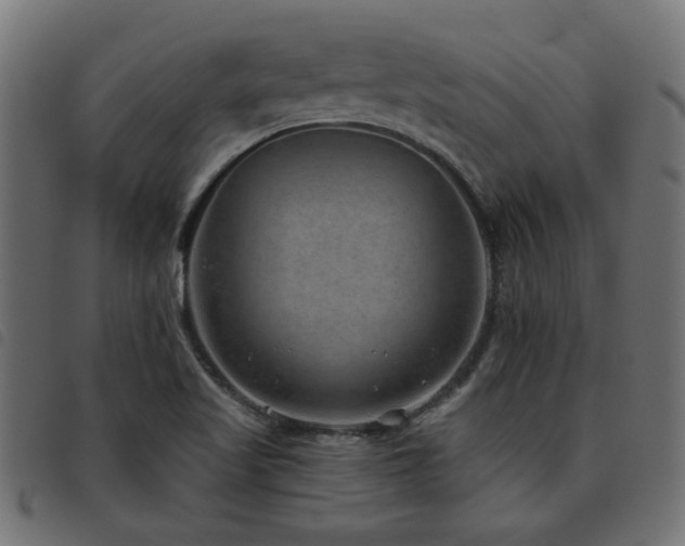 X0000093451509200710121343