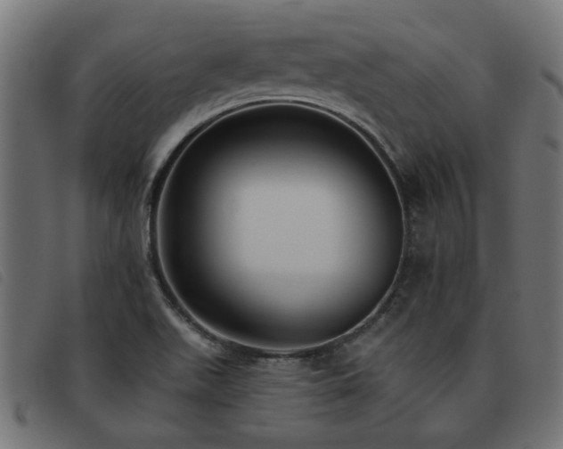 X0000093451511200710121343