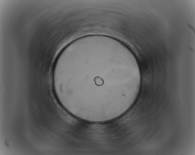 X0000093451514200710121343