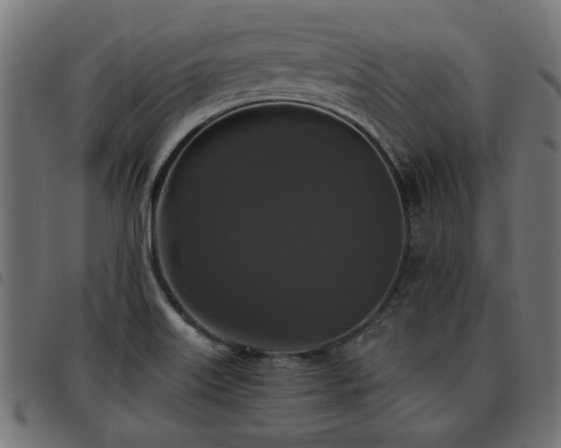 X0000093451515200710121343