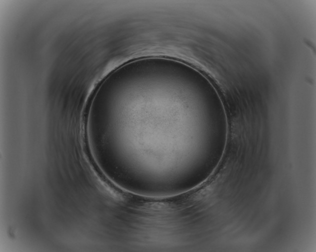 X0000093451517200710121343