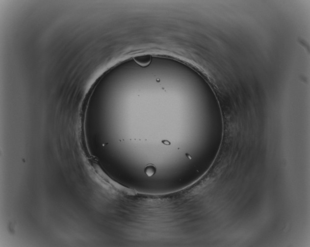 X0000093451518200710121343