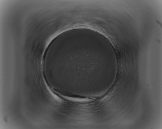 X0000093451519200710121343