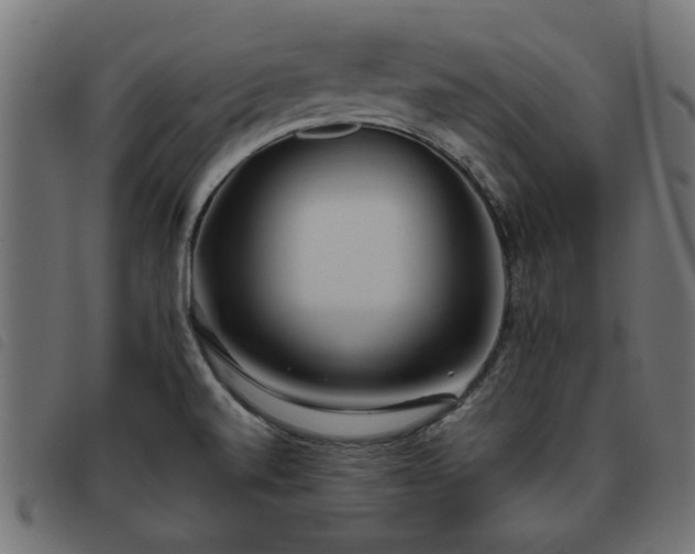 X0000093451520200710121343