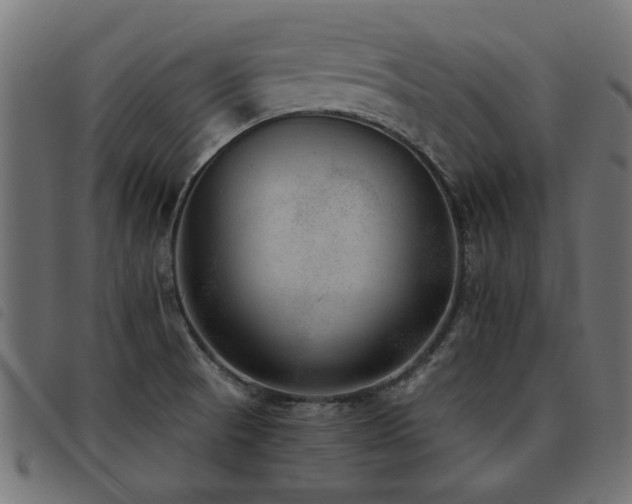 X0000093451521200710121343