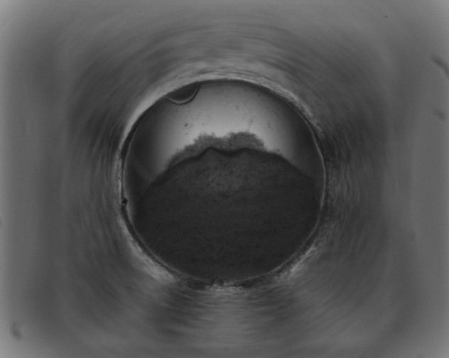 X0000093451522200710121343