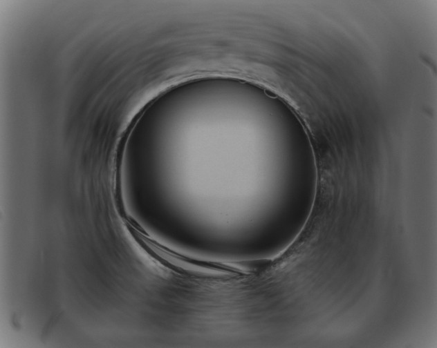 X0000093451523200710121343