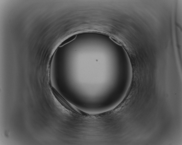 X0000093451524200710121343