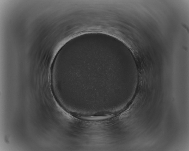 X0000093451527200710121343