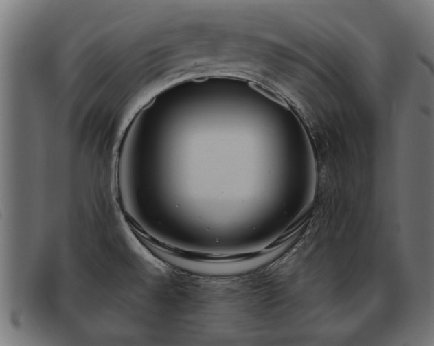 X0000093451528200710121343