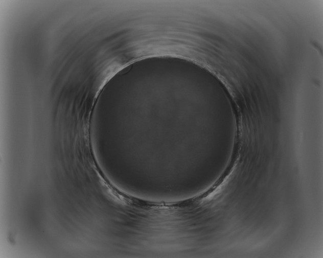 X0000093451529200710121343
