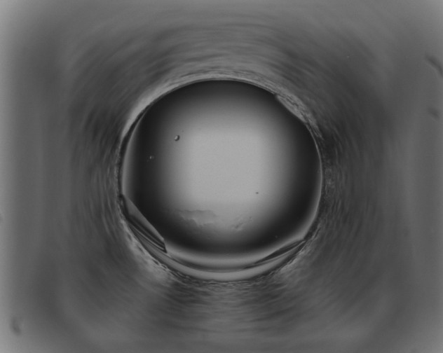 X0000093451530200710121343