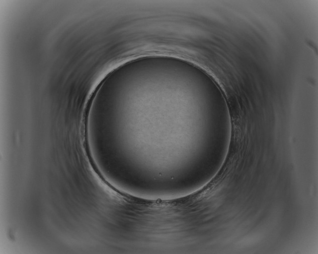 X0000093451531200710121343