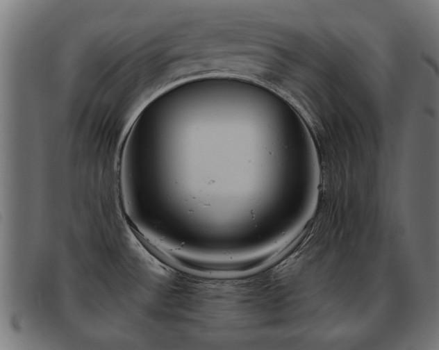 X0000093451532200710121343