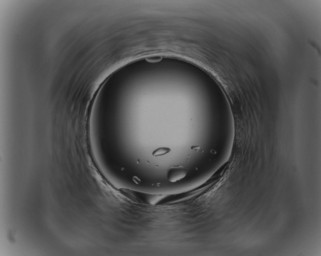 X0000093451534200710121343