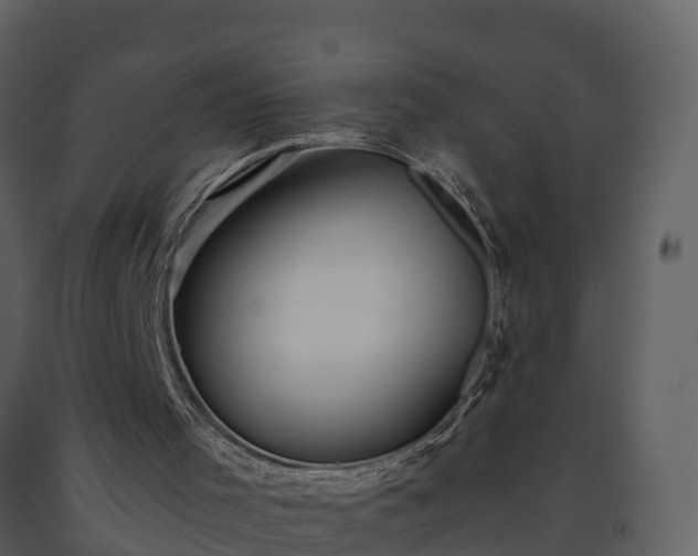 X0000093450001200710191113