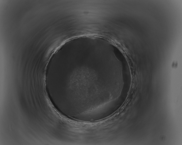 X0000093450002200710191113