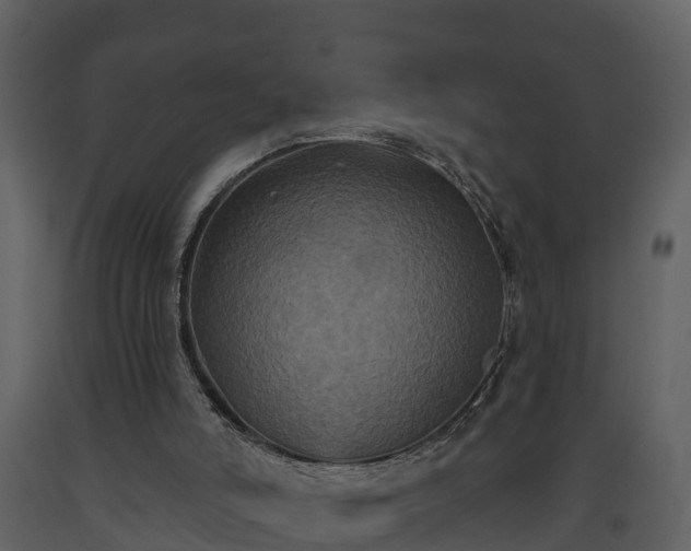 X0000093450006200710191113