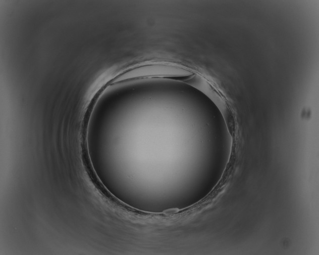 X0000093450007200710191113