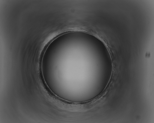 X0000093450008200710191113