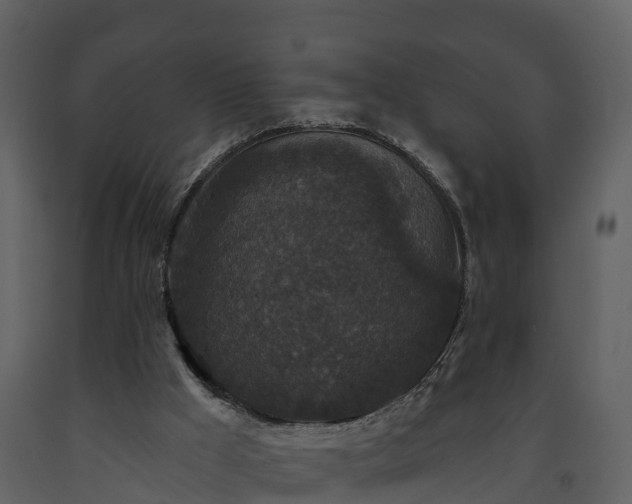 X0000093450009200710191113