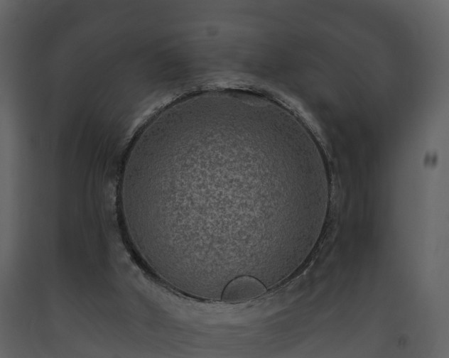 X0000093450010200710191113