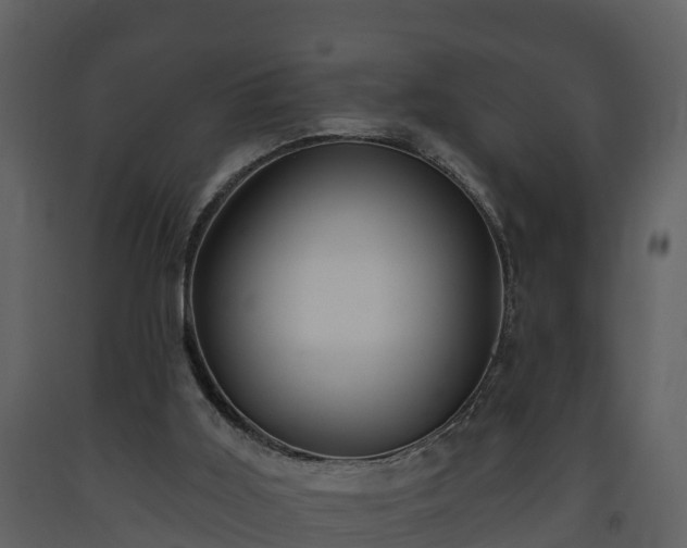 X0000093450011200710191113