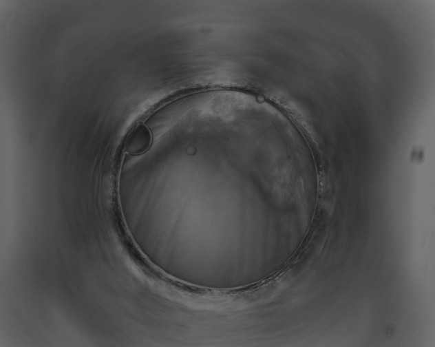 X0000093450012200710191113