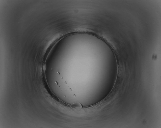 X0000093450015200710191113