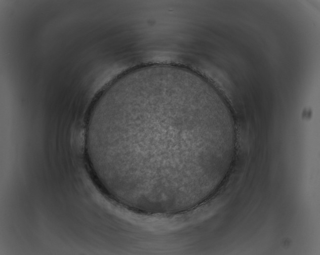 X0000093450016200710191113